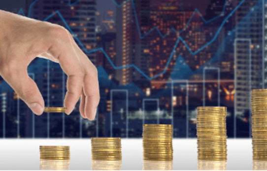 Payment Services offered by MyntPay